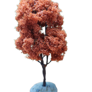 Baldcypress Tree-Medium