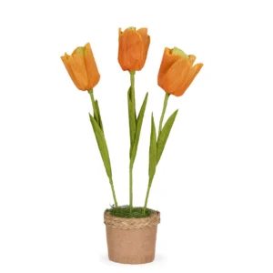 Tango Tulip Pot Orange