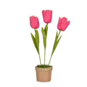 Tango Tulip Pot Hot Pink