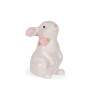 Cosmos Bunny Standing