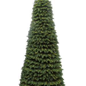 New Hampshire Cone Tree 6ft/180cm