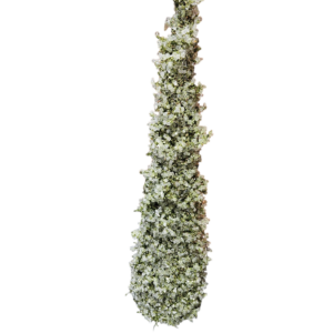 Plastic Ice Cone Tree Silver or Green LGE