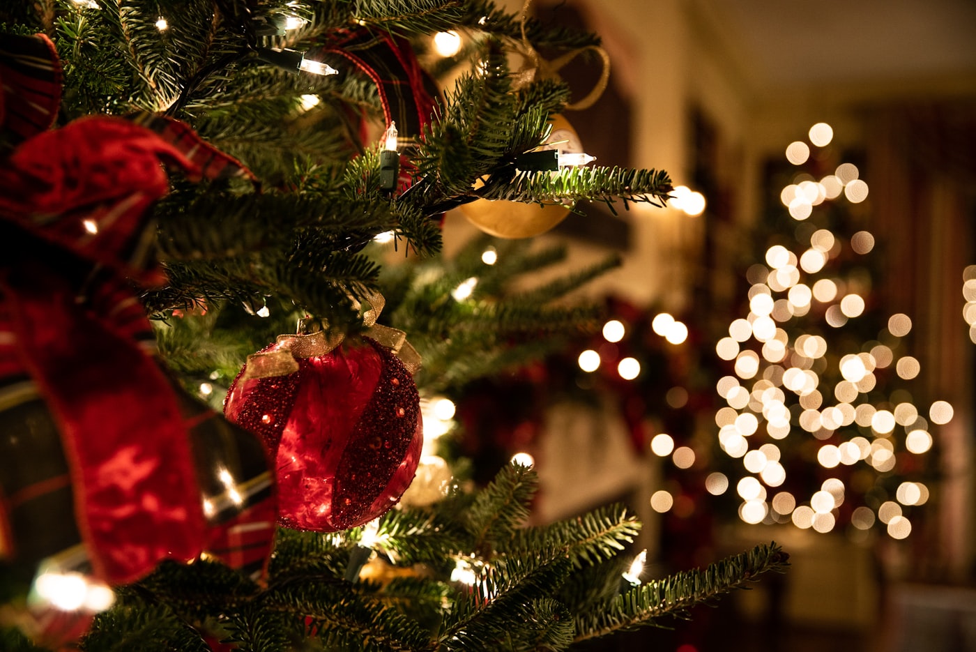 A Christmas tree decorated with warm white fairy lights, red ribbon and gold baubles, with a second lit tree glowing softly behind it