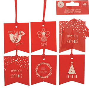 Gift Tag variety festive fun 5pc Pk