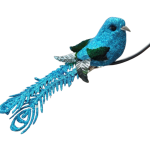Bird Teal clip-on