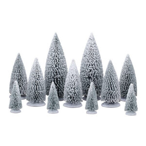White Pine Trees