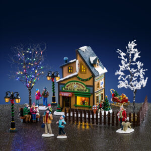 Wally's Winter Skate Shop Set