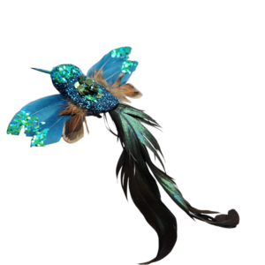 Bird Feather Hummingbird Emerald Green
