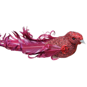 Bird Red Purple Tail
