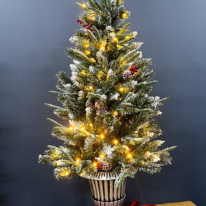 Snowy Mountains Potted Pine (5ft) 150cm