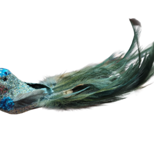 Bird Feather Clip Teal Peacock