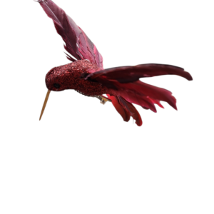 Bird Feather Hummingbird Burgundy