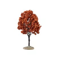 Baldcypress Tree-Medium
